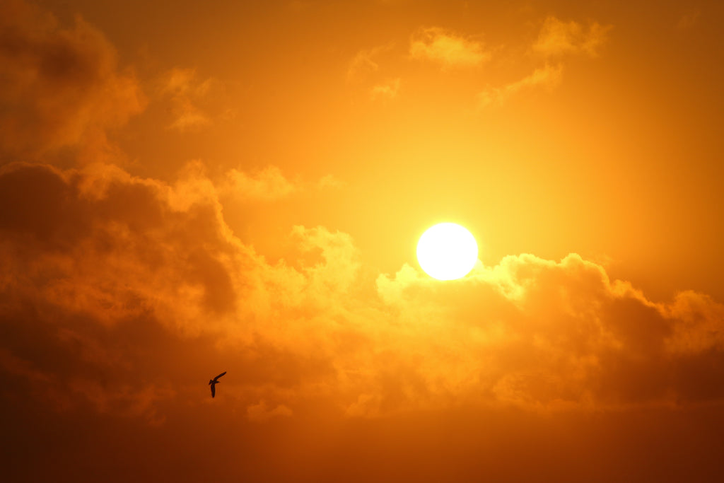 10 Key Facts About Circadian Fasting, Pt. 2